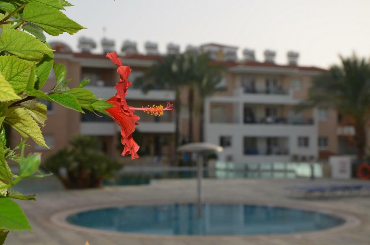 Iris Village Paphos Esterno foto